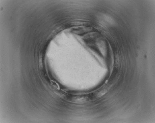 X0000075910267200610062150