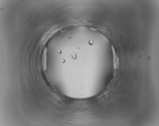 X0000075910291200610062149