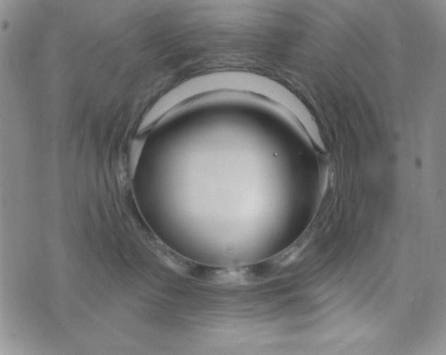 X0000075910335200610062149