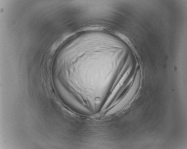 X0000075910337200610062148