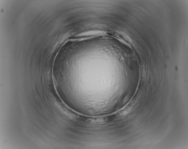 X0000075910357200610062148