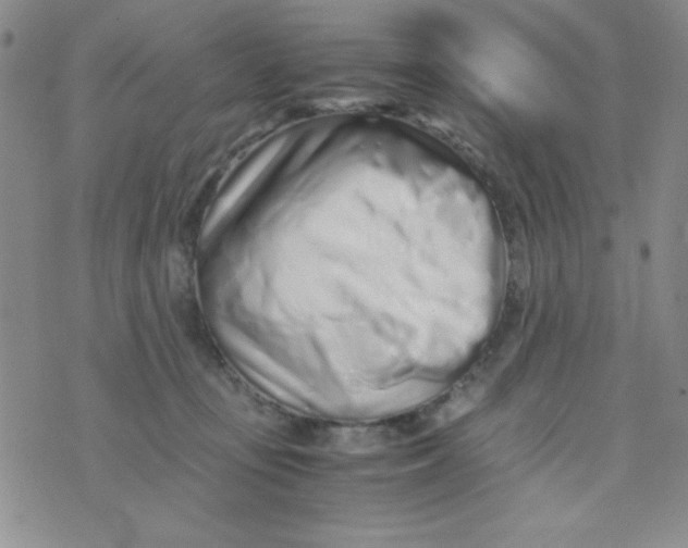 X0000075910371200610062149