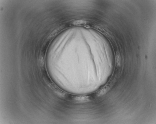 X0000075910375200610062149
