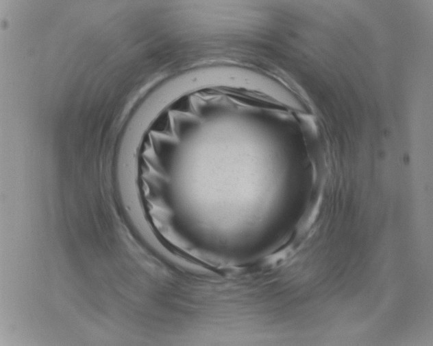 X0000075910386200610062148