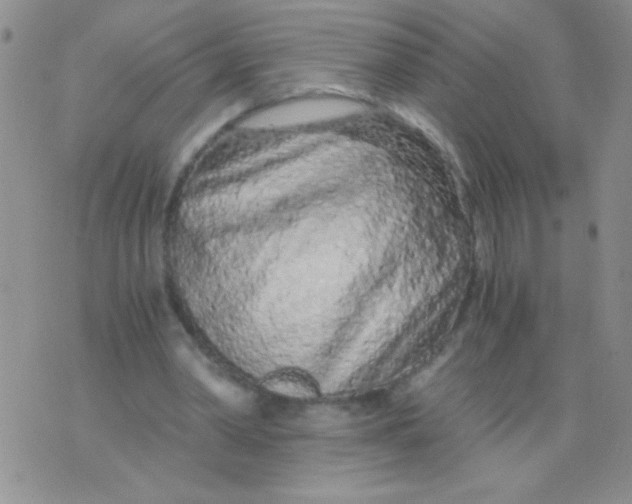 X0000075910390200610062148