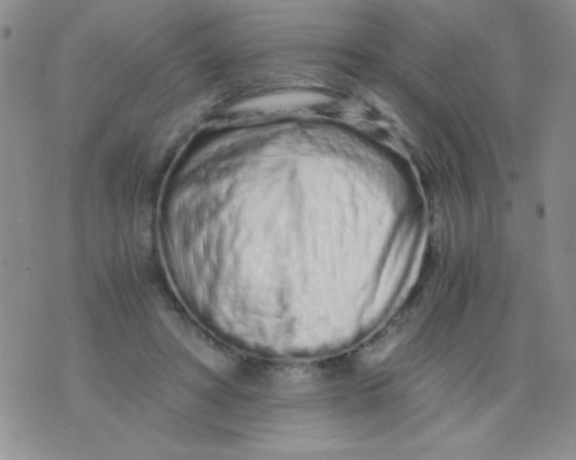 X0000075910402200610062148