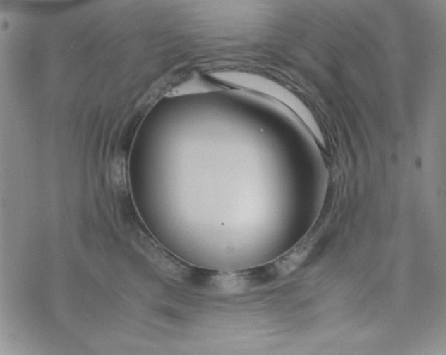 X0000075910425200610062147