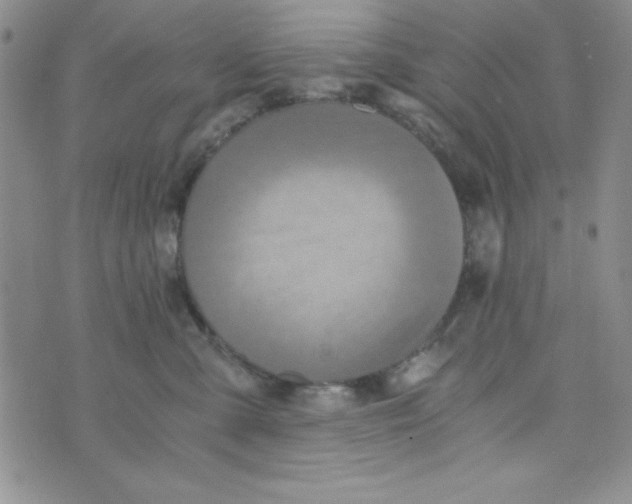 X0000075910427200610062147