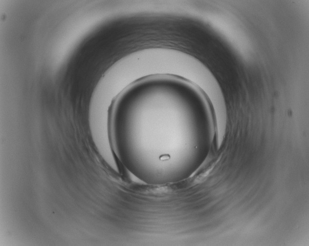 X0000075910431200610062147