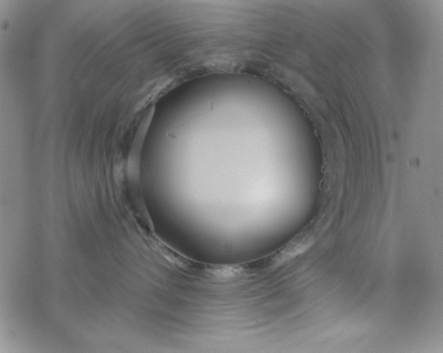 X0000075910432200610062147