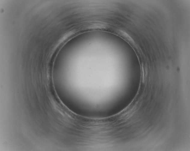 X0000075910435200610062146