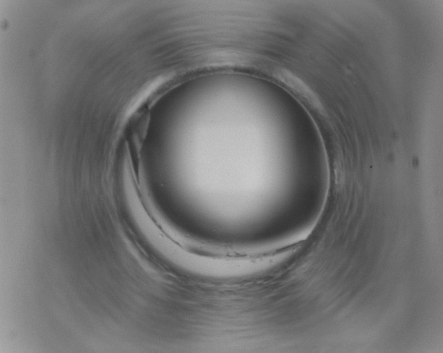 X0000075910436200610062146