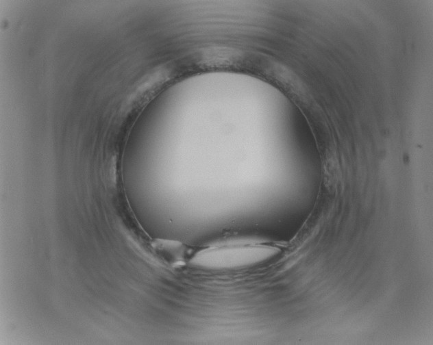 X0000075910454200610062147