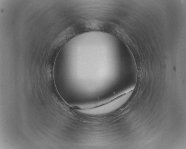 X0000075910466200610062147