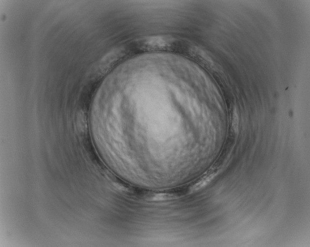 X0000075910467200610062147