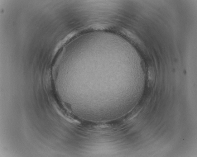 X0000075910492200610062146