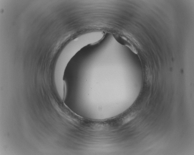 X0000075910494200610062146