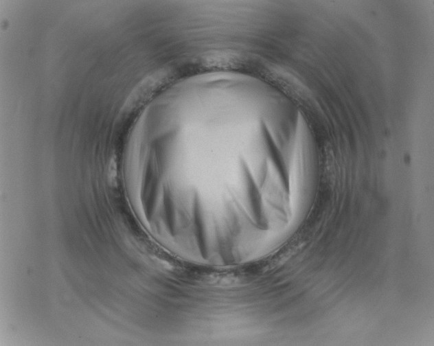 X0000075910502200610062146