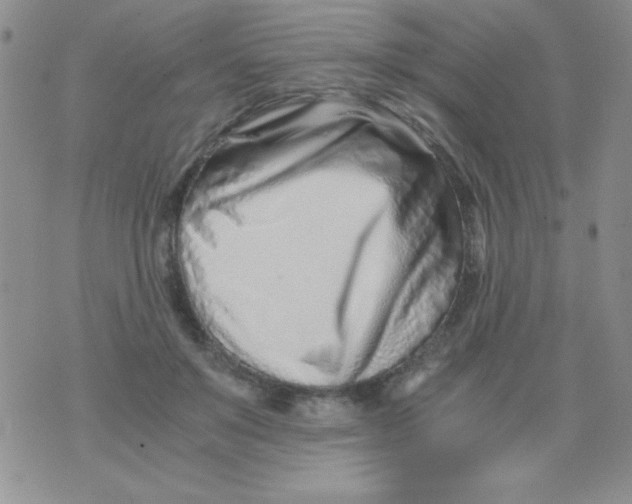 X0000075910503200610062146