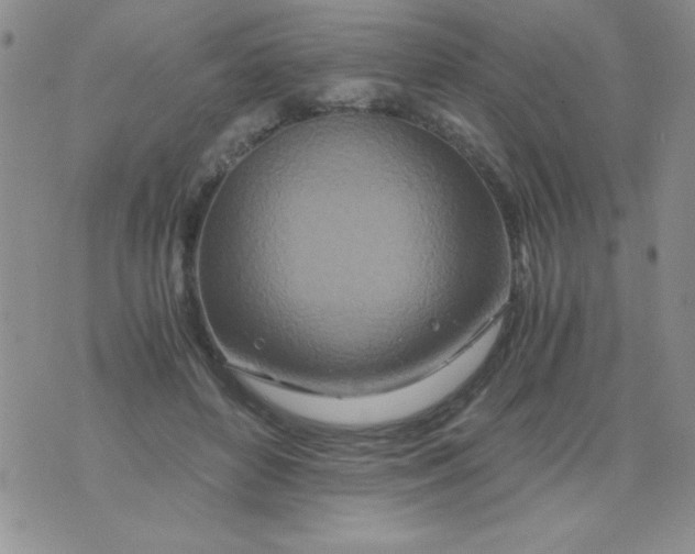 X0000075910504200610062146