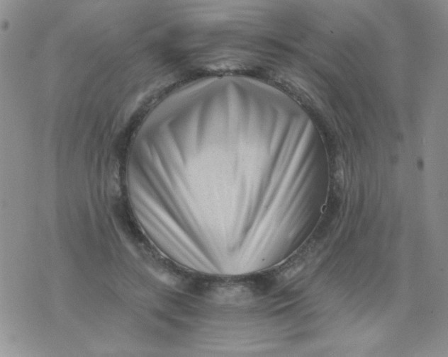 X0000075910547200610062145