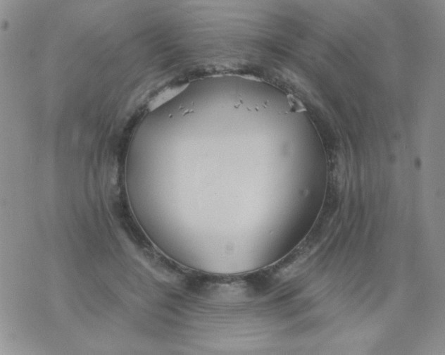 X0000075910548200610062145