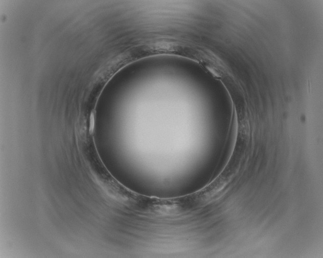 X0000075910552200610062145