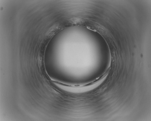X0000075910558200610062145