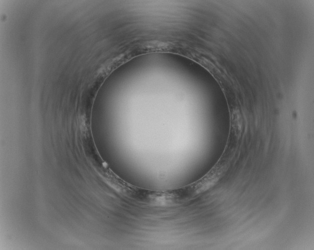 X0000075910564200610062145