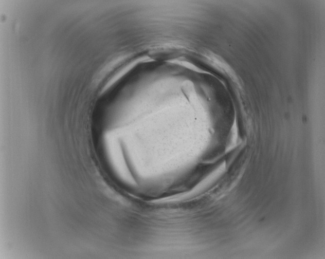 X0000075910577200610062145