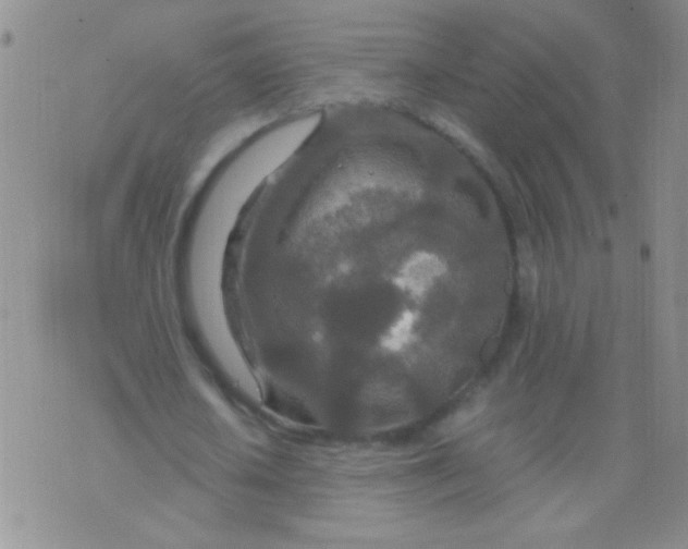 X0000075910626200610062143