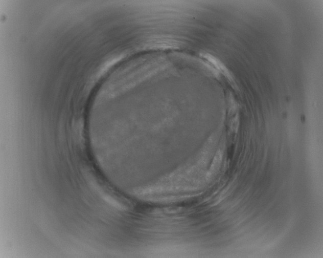 X0000075910627200610062143