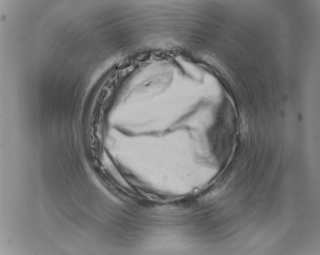 X0000075910630200610062143