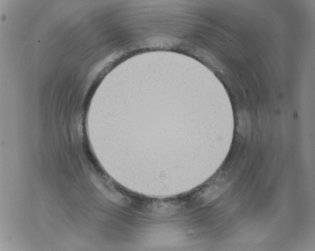 X0000075910632200610062143