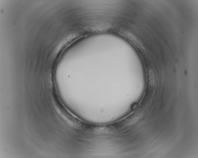 X0000075910634200610062143