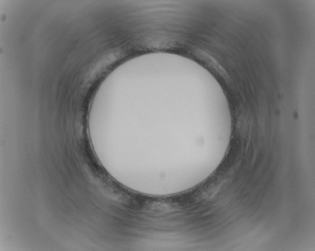 X0000075910635200610062143