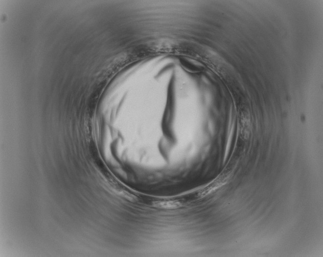 X0000075910654200610062144