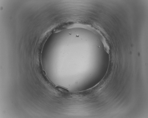 X0000075910681200610062143