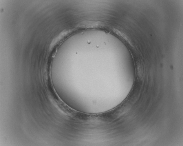 X0000075910682200610062143