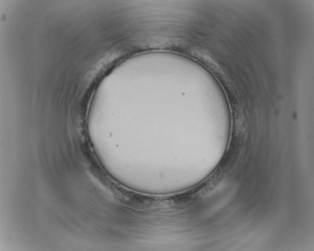 X0000075910683200610062143