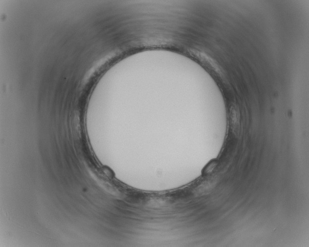 X0000075910684200610062143