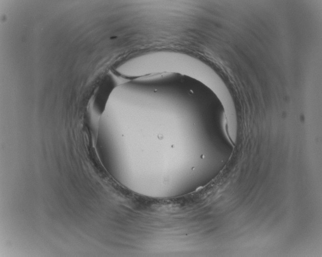 X0000075910689200610062143