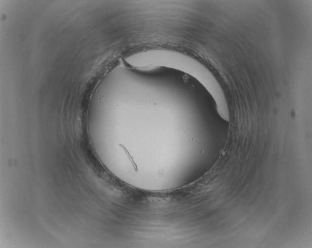 X0000075910690200610062143