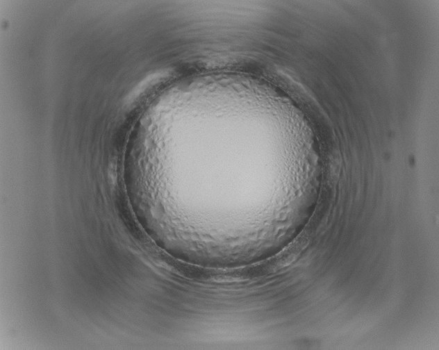 X0000075910691200610062143