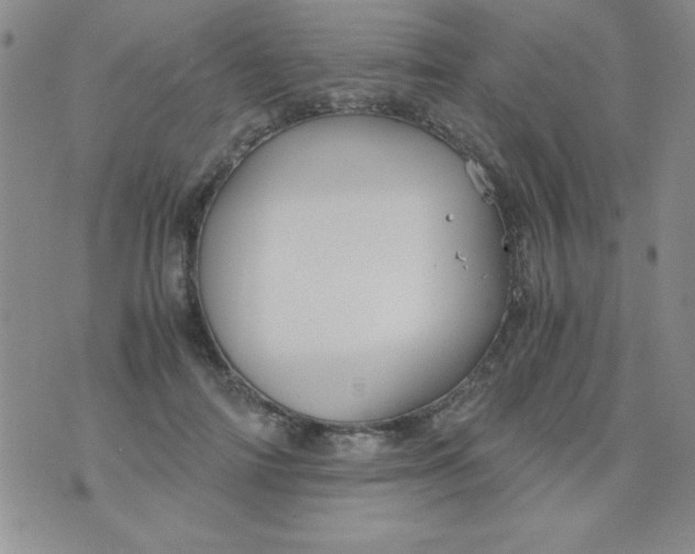 X0000075910698200610062143