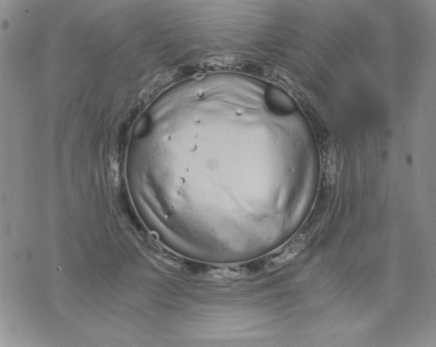 X0000075910703200610062143