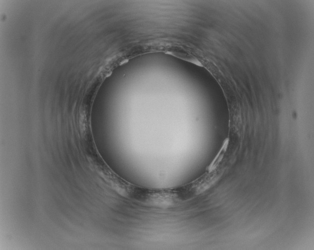 X0000075910708200610062143