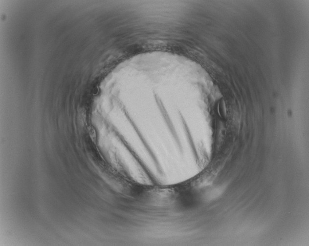 X0000075910711200610062143