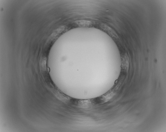 X0000075910717200610062143