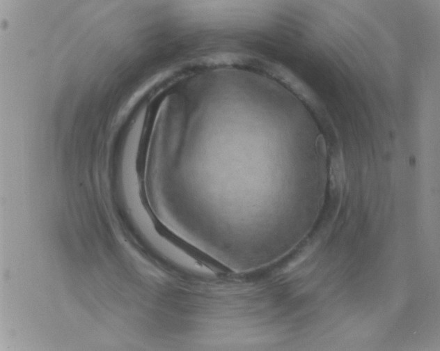 X0000075910722200610062142